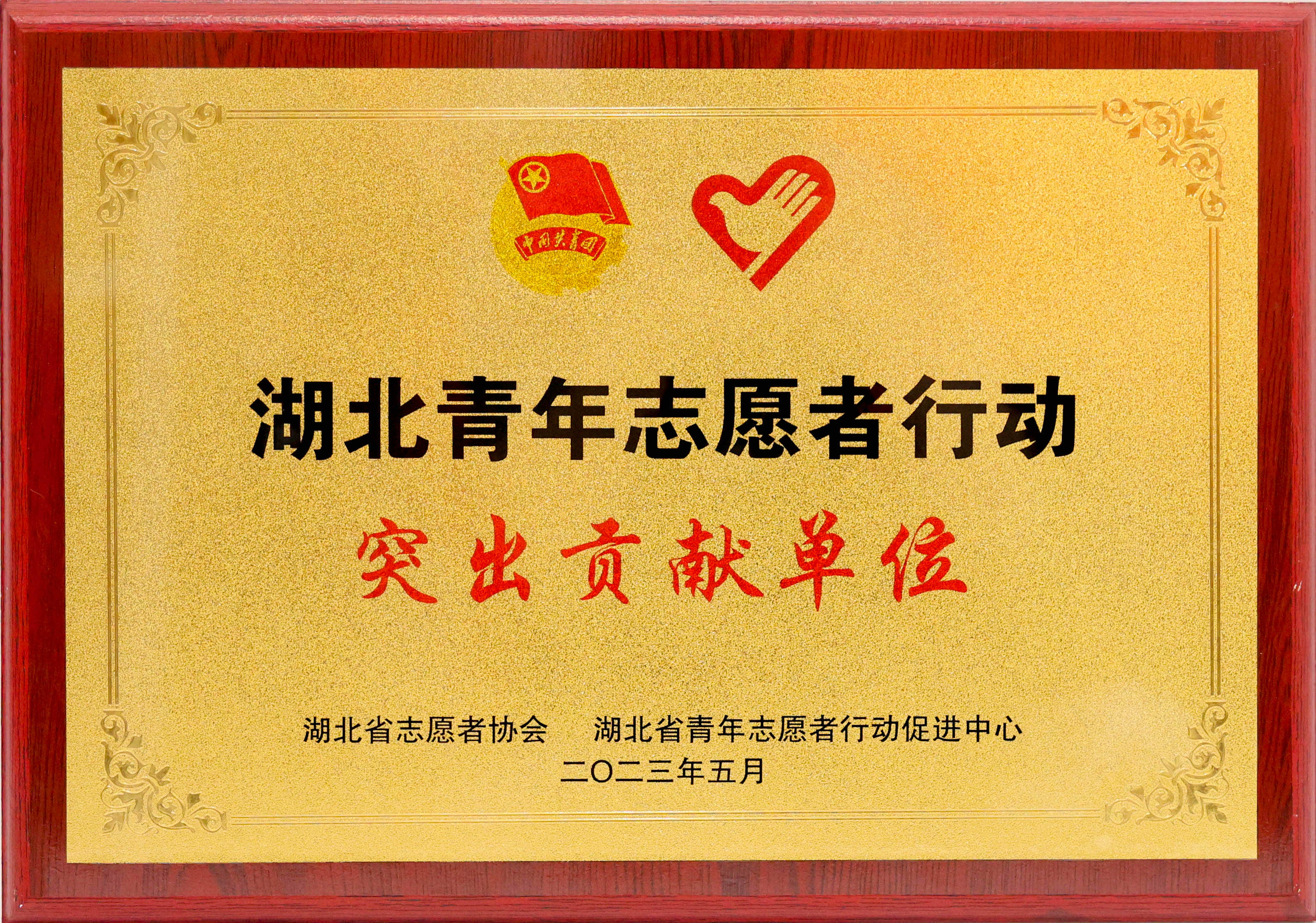 湖北青年志愿者行動突出貢獻單位
